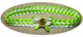 /album/fotogaleria/natural-verde-blanco-jpg/